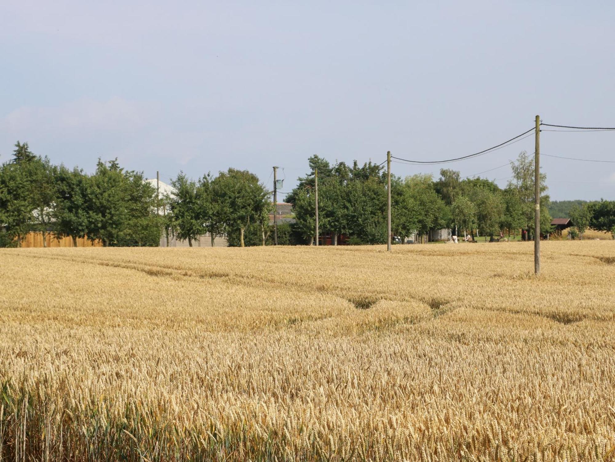 Cornfield Villa Northallerton Bagian luar foto