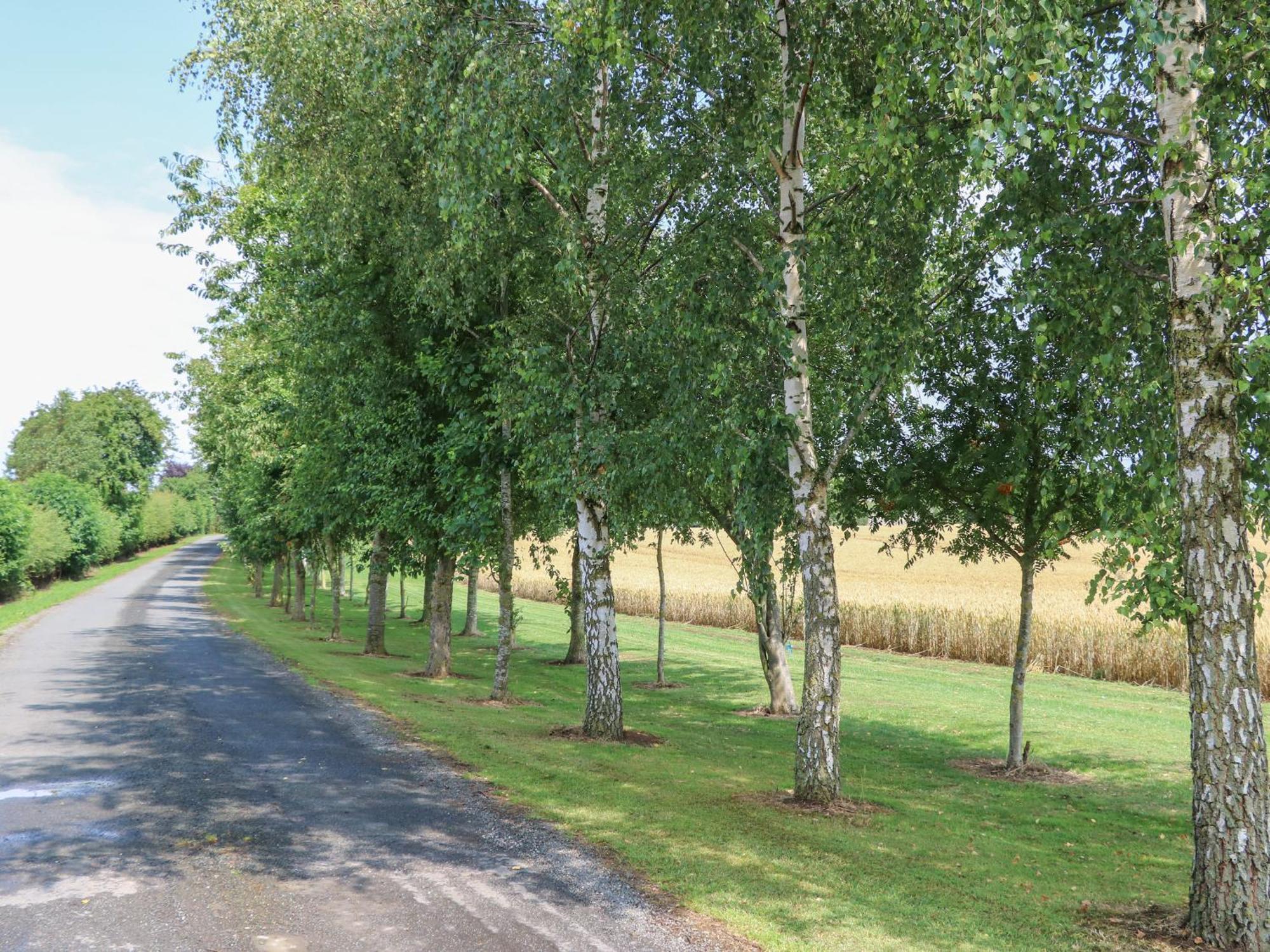Cornfield Villa Northallerton Bagian luar foto